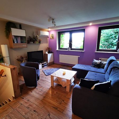 Apartament Aldi Bielsko-Biała Buitenkant foto