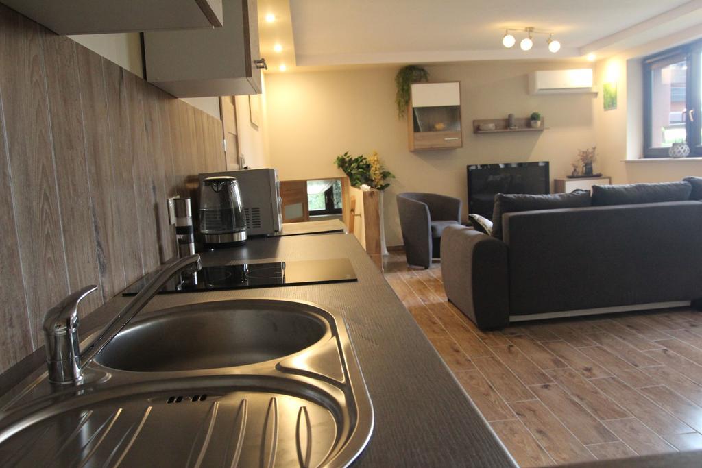 Apartament Aldi Bielsko-Biała Buitenkant foto